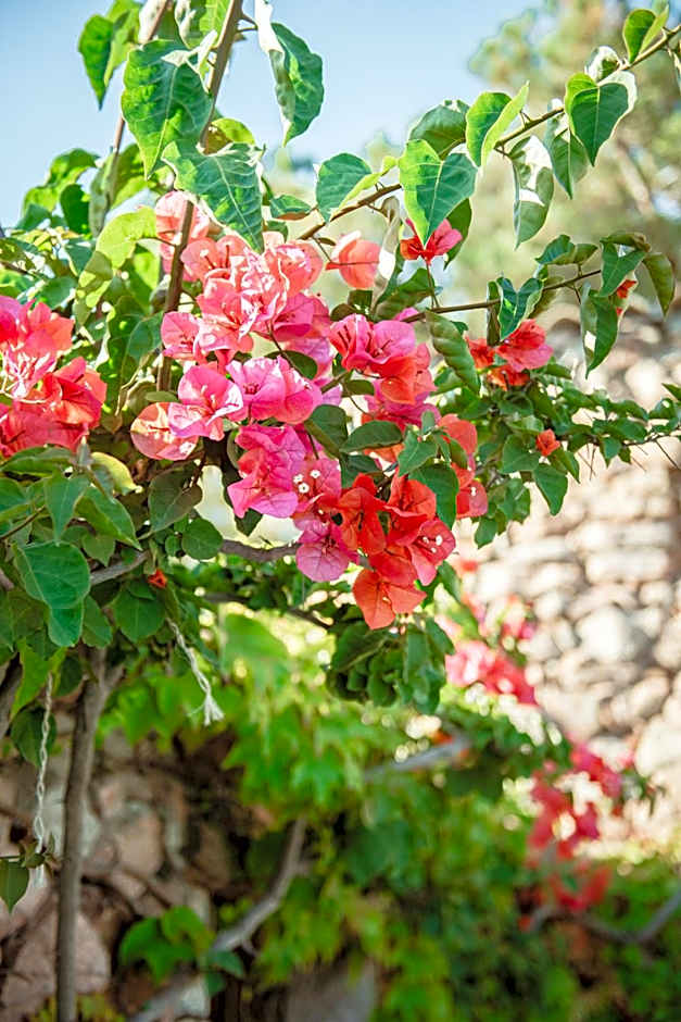 Ranch Campo Palombaggia