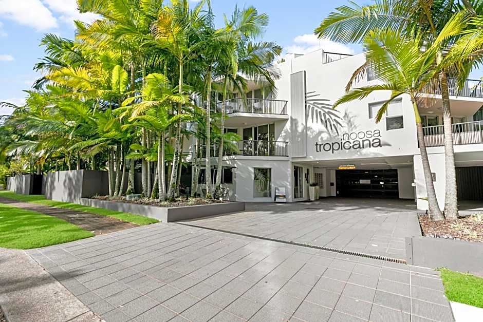 Noosa Tropicana