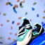 Alpine Touring Hotel-petfriendly