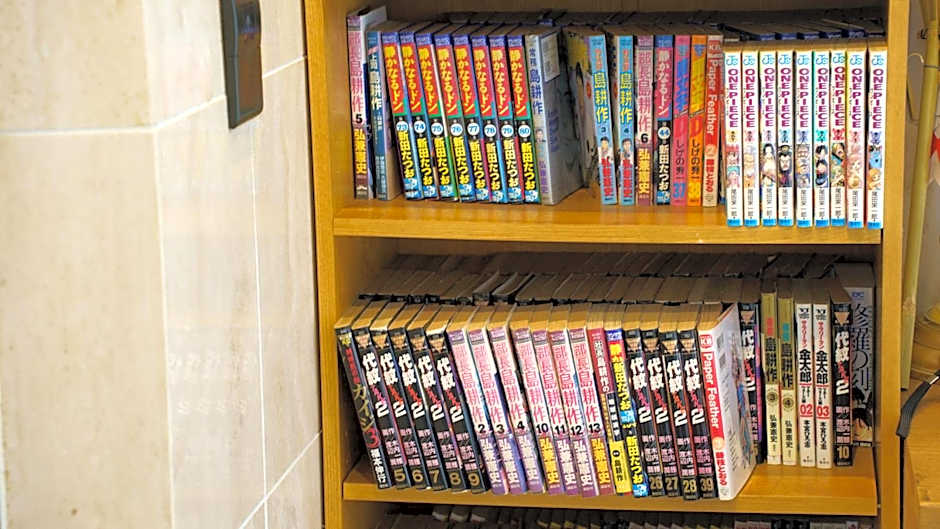 Business Hotel Rupinasu