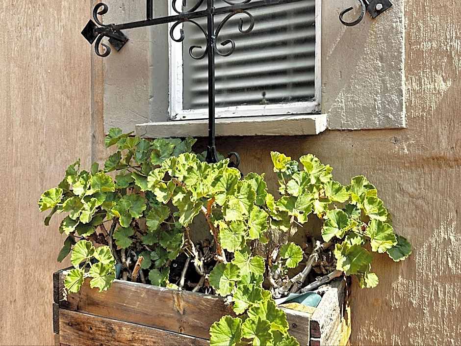 59 On True North Guest Rooms