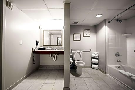 1 King Bed, Suite, Nonsmoking, Accessible