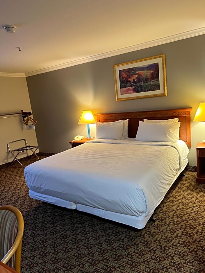 Hotel XOLA 