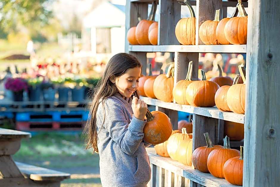 Holiday Inn & Suites Ottawa West - Kanata By IHG