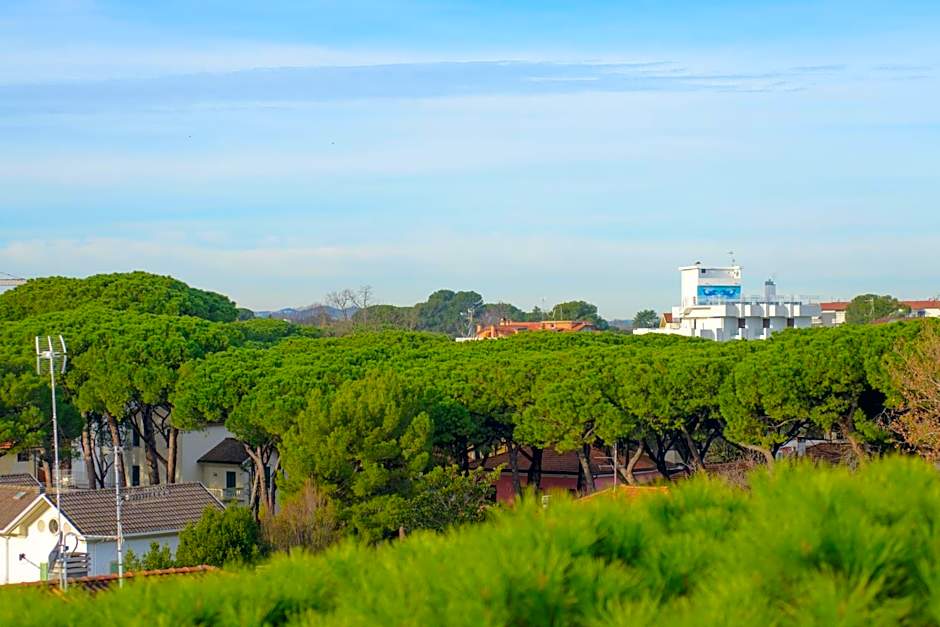 Palace Hotel Domus Mea Riccione