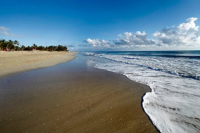 Viva Tangerine by Wyndham, A Trademark All Inclusive