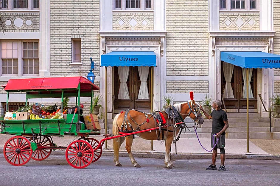 Hotel Ulysses, a Member of Design Hotels