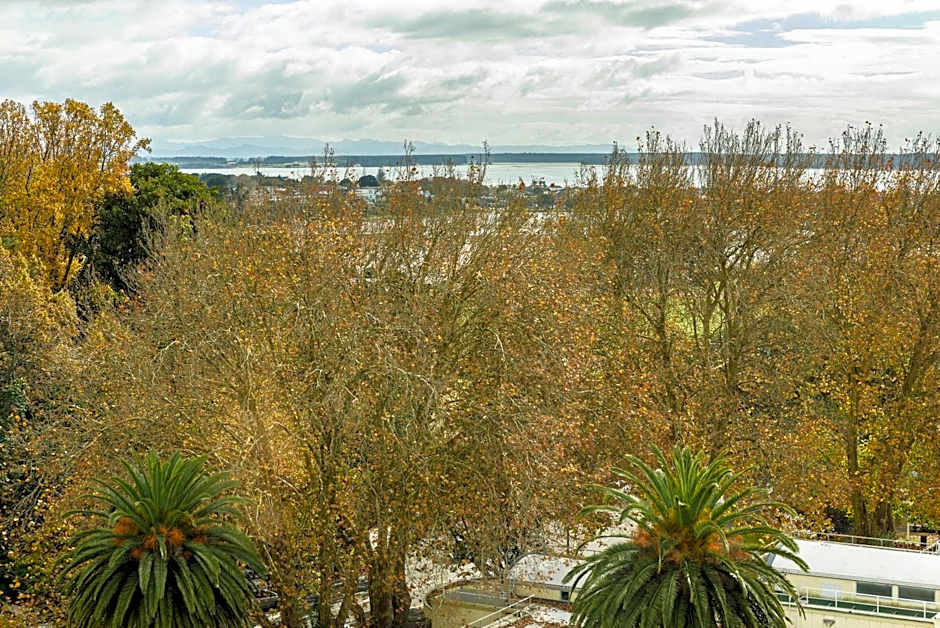 Top Of The Town Bed & Breakfast