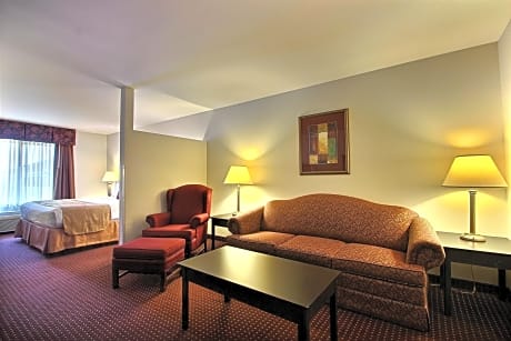 suite-1 king bed - non-smoking, sofabed, wireless high-speed internet, microwave, refrigerator, coffee maker, full breakfast