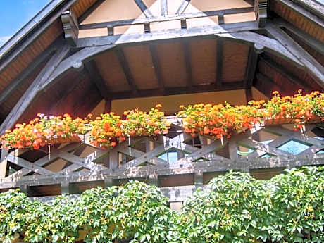 Appartement charmant à Hochfelden - 100 m² et parking gratuit