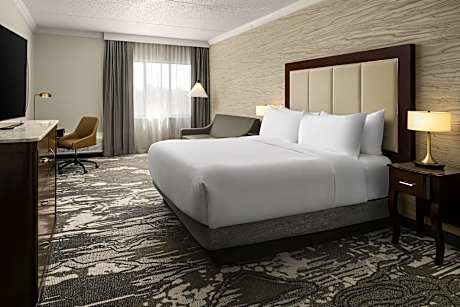 1 King Bed Presidential Suite