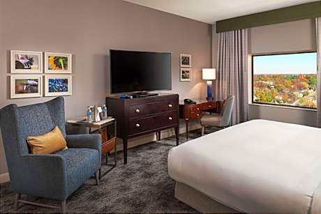 King Junior Suite with Sofa Bed