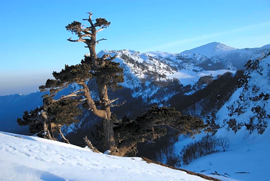 Tana Libera Tutti 1 Nature, Yourself, Love