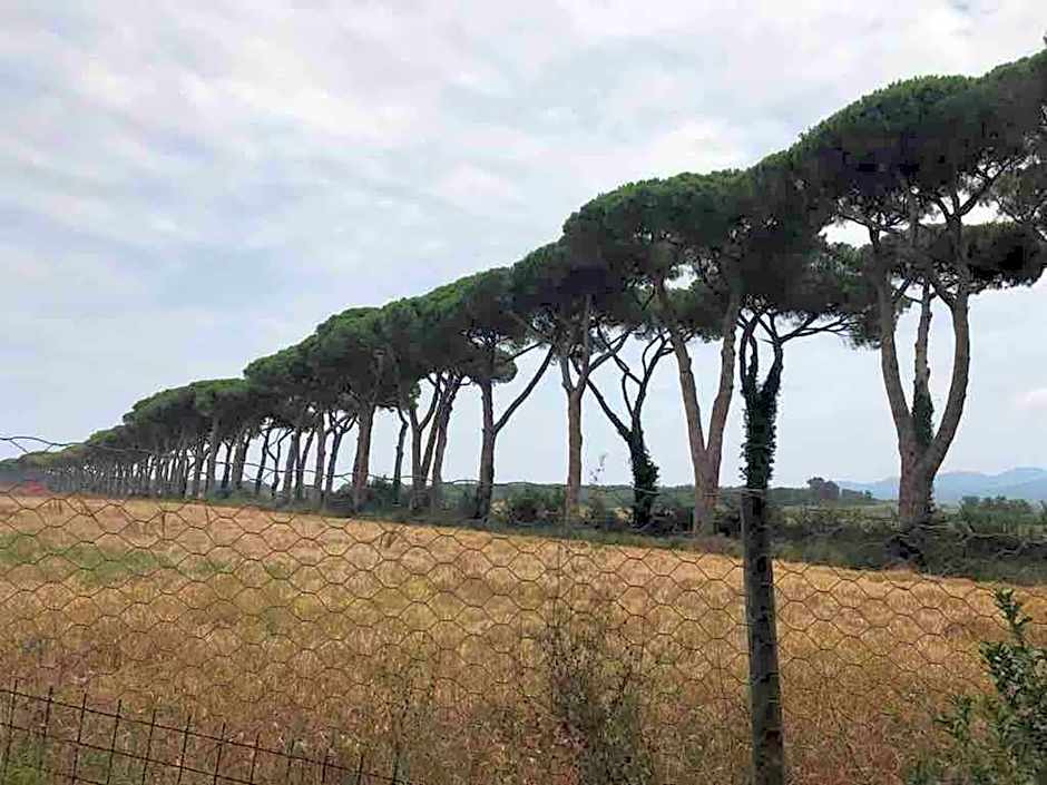 On Holiday Between Sky And Sea geco Di Campiglia pet friendly big garden