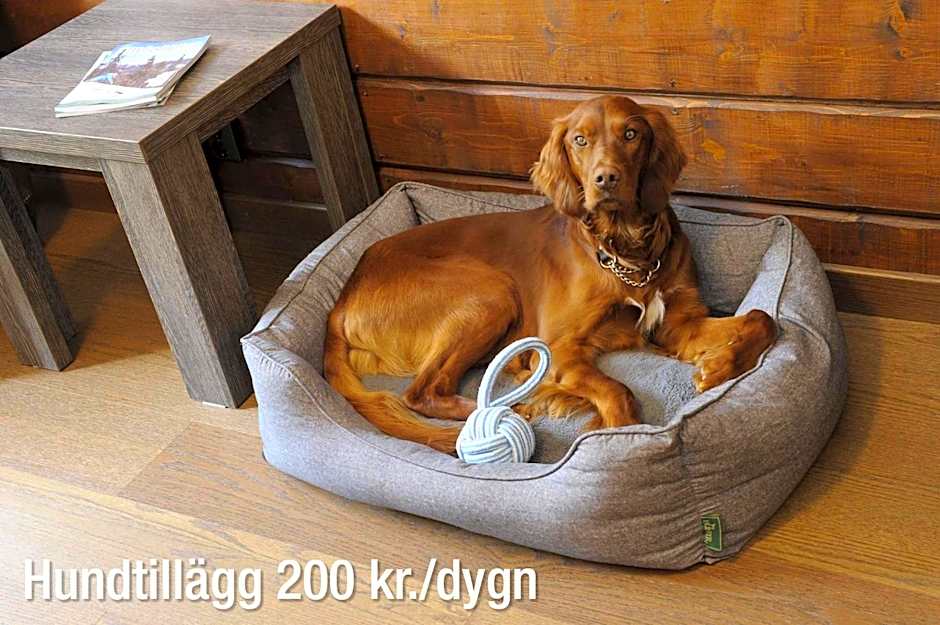 Eriksgårdens Fjällhotell