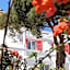 Rhenia Mykonos Hotel & Bungalows