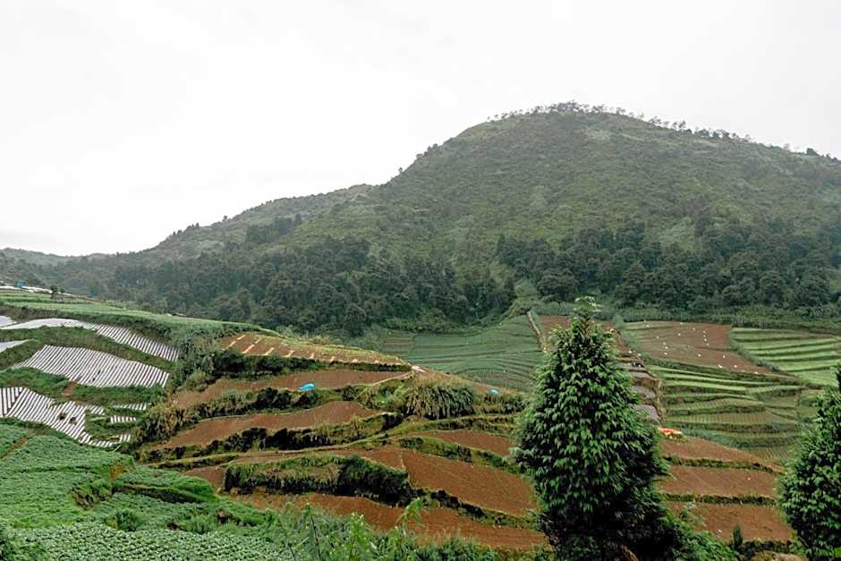 Satha private villa Dieng