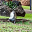 Kruger Park Lodge Unit No. 277