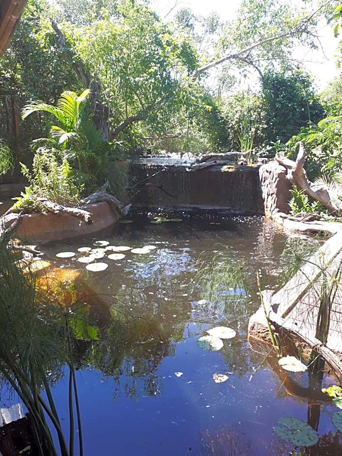 Chinderera Eco Lodge