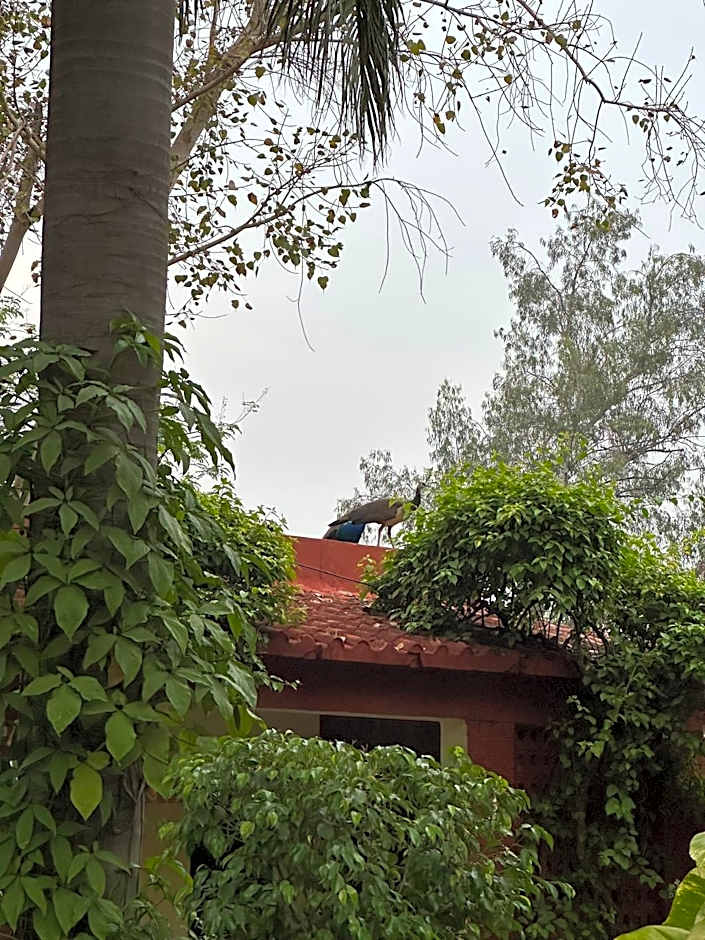 Hotel Sheela