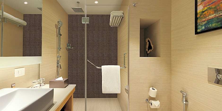 Novotel Lucknow Gomti Nagar