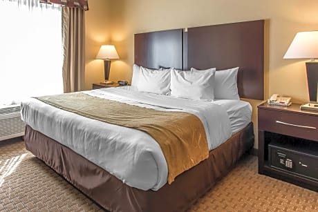 1 King Bed, Suite, Nonsmoking