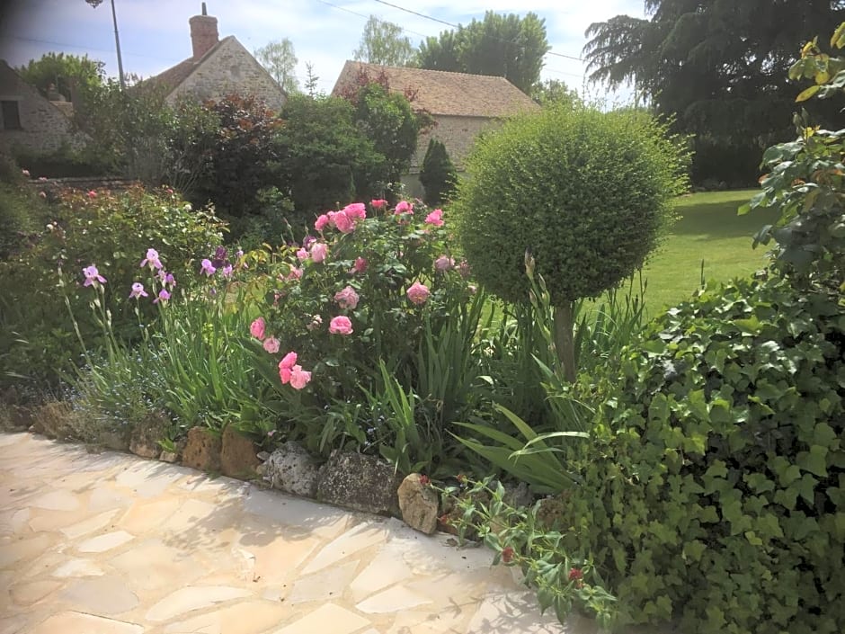 Les Prémices De La Forêt