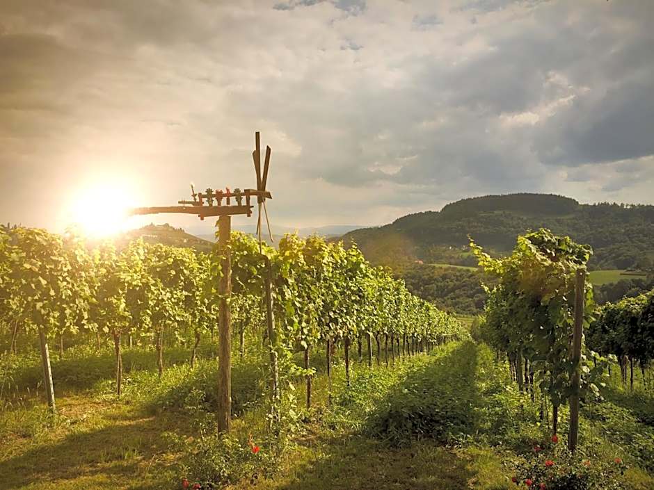 Winzerhotel am GUT MOSER