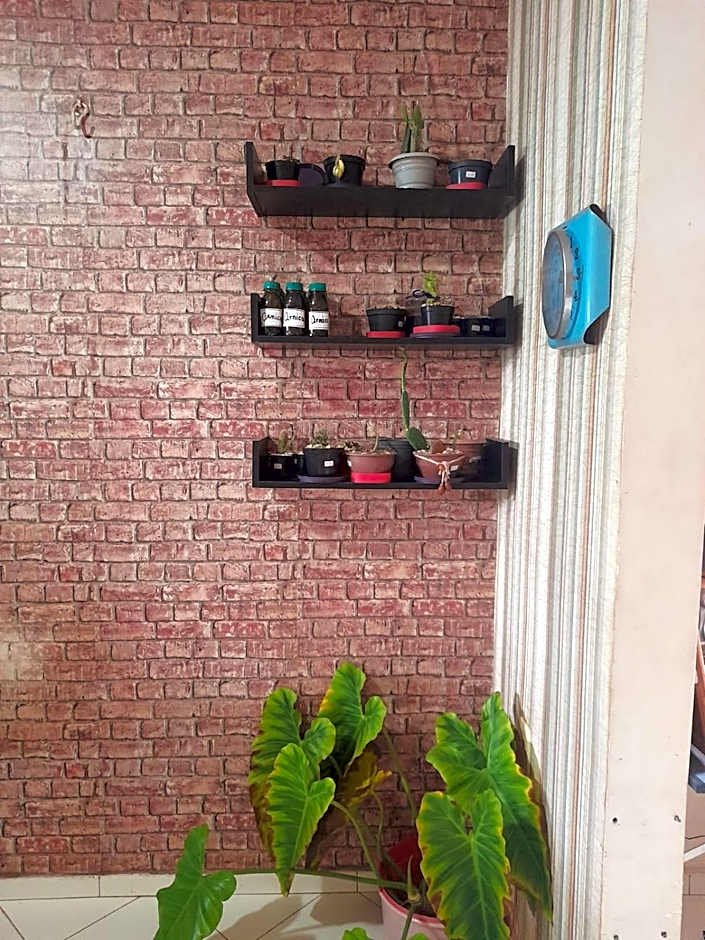 Verdes Hostel Palmas-TO