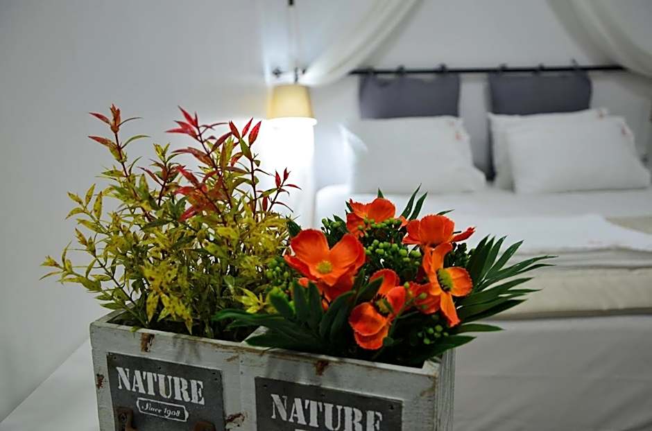 Nova Citrus Otel