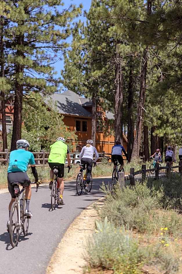 Martis Valley Lodge Tapestry Collection by Hilton