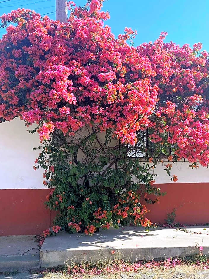 Hotel Posada Camelinas