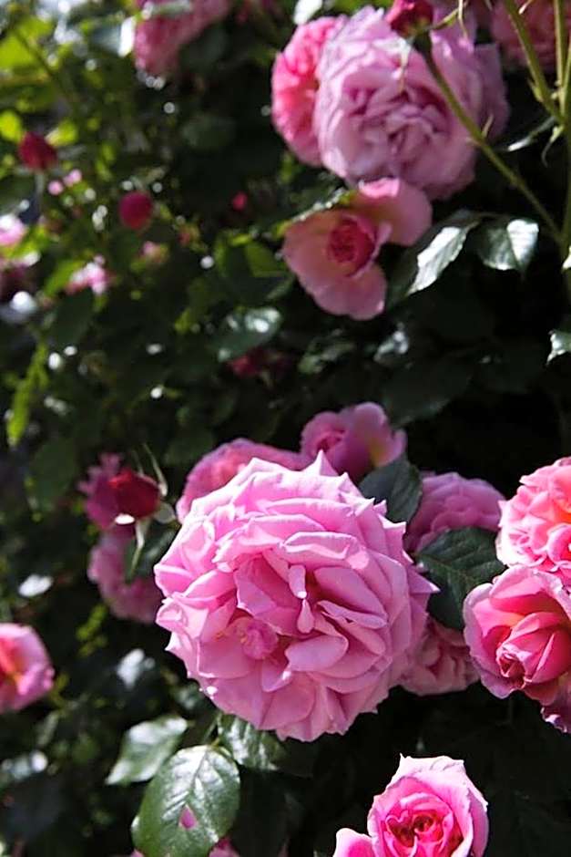 Les Jardins De La Livrée