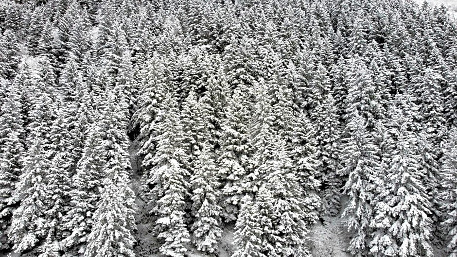 PAZARCIK MOUNTAIN HOTEL