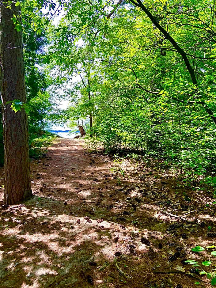 Elk Rapids Lakeshore Inn