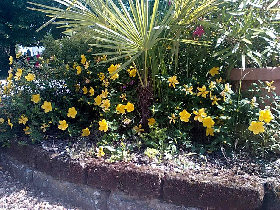 Albergo Grifone 1891