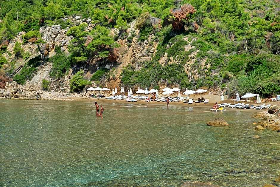 Alonissos Beach Bungalows And Suites Hotel
