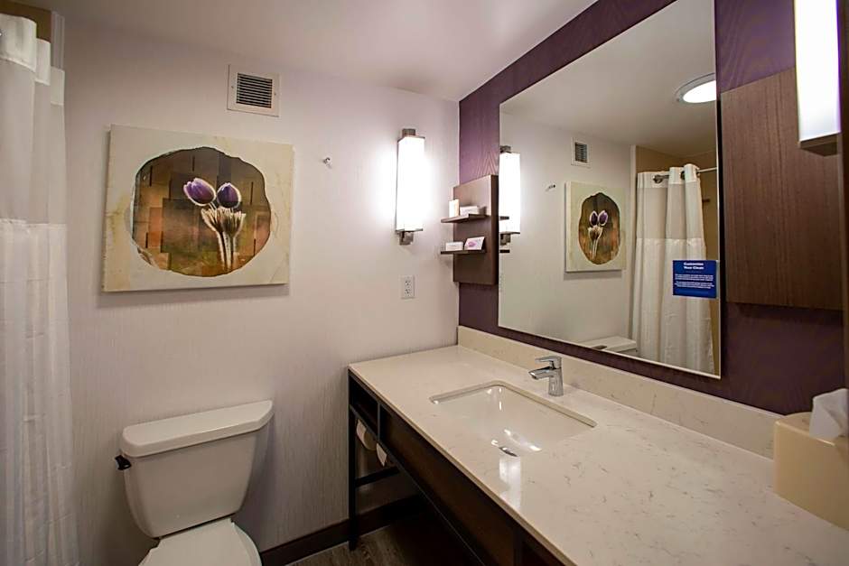 Hilton Garden Inn Rapid City