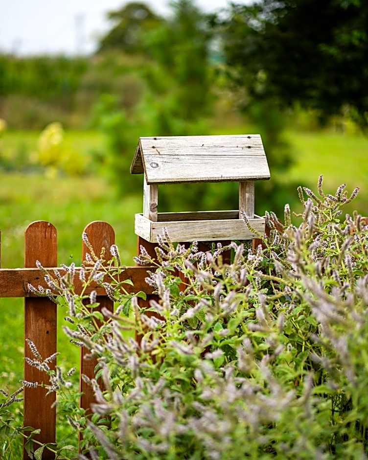 Dosłońce Resort Wellness & Farm