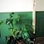 La Belle Endormie B&B French Guest house