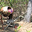 Magnetic Island Bed and Breakfast