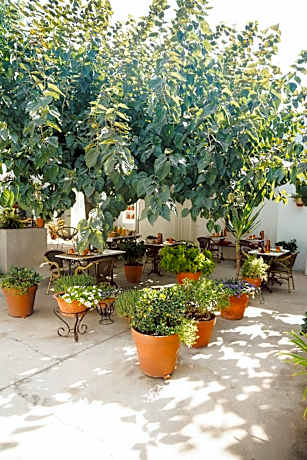 Les Filles (antiga Fonda de la Parra)