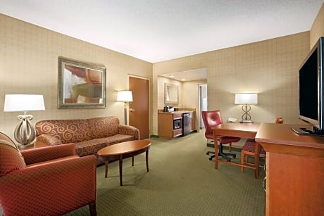 1 Bed King Suite