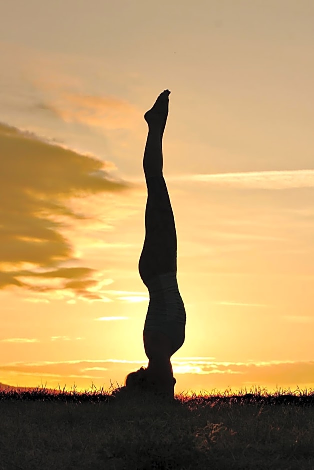 Agriturismo Le Tassinaie