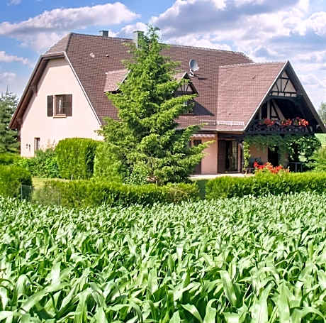 Appartement charmant à Hochfelden - 100 m² et parking gratuit