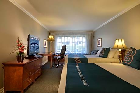 Deluxe Double Room with City View