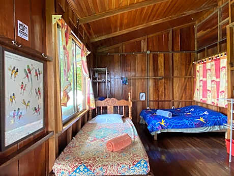 Triple Room with Shared Bathroom