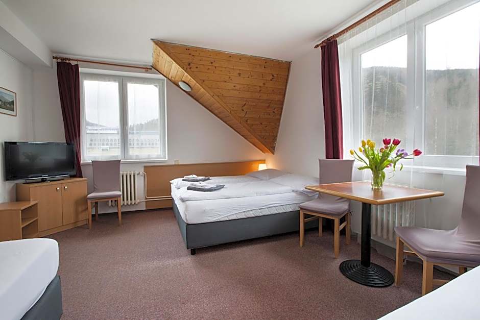 Hotel Harrachov Inn