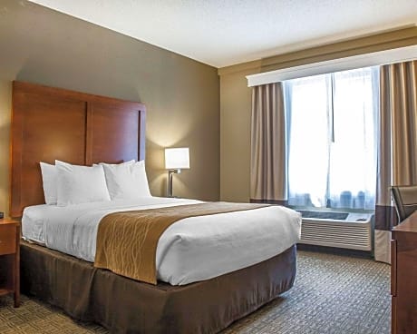 1 Queen Bed, Nonsmoking, Accessible