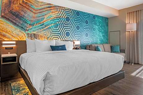 Efficiency King Room - Non-Smoking